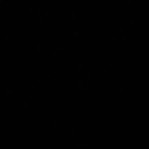 Meet your Posher, Laney